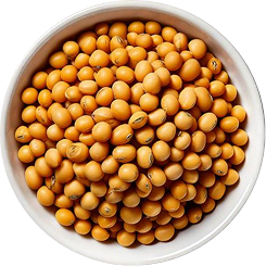 files/proteines-vegetales.png