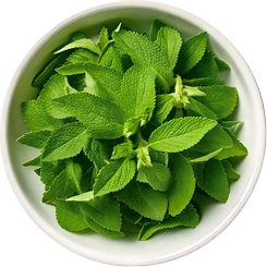 files/stevia.png